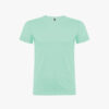 Variation picture for Verde Menta