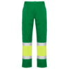 Variation picture for Garden Green/Flour Yellow
