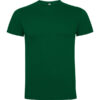 Variation picture for Verde bottiglia